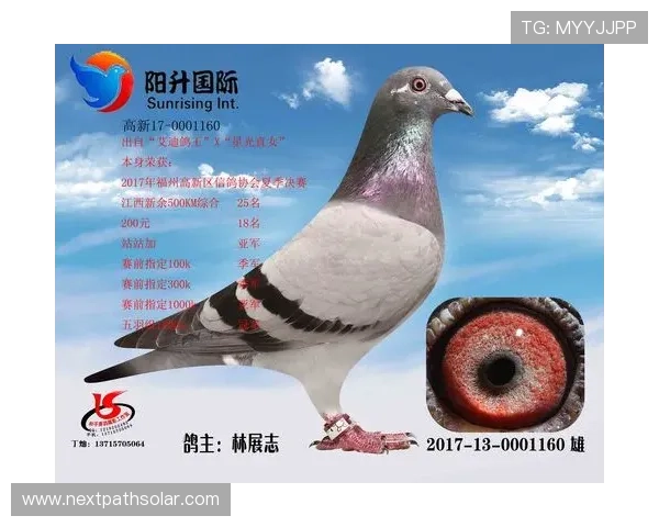 AG国际游戏客户服务全天在线，快速解答您的各种疑问请求