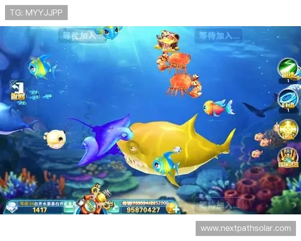 ag捕鱼王技巧提升你的捕鱼水平全方位技巧指导解析