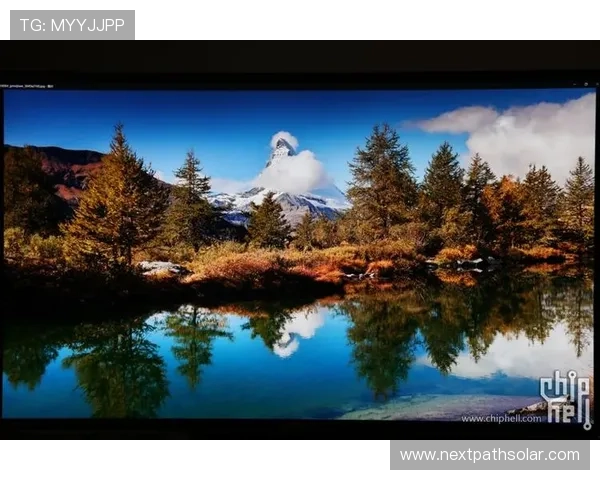PA搏天堂的用户体验优化措施,让每一个玩家都能享受极致的线上博彩乐趣